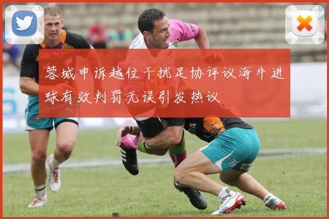 蓉城申诉越位干扰足协评议海牛进球有效判罚无误引发热议