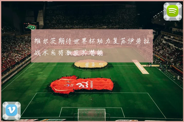 维尔茨期待世界杯助力复苏伊劳拉战术或将激发其潜能